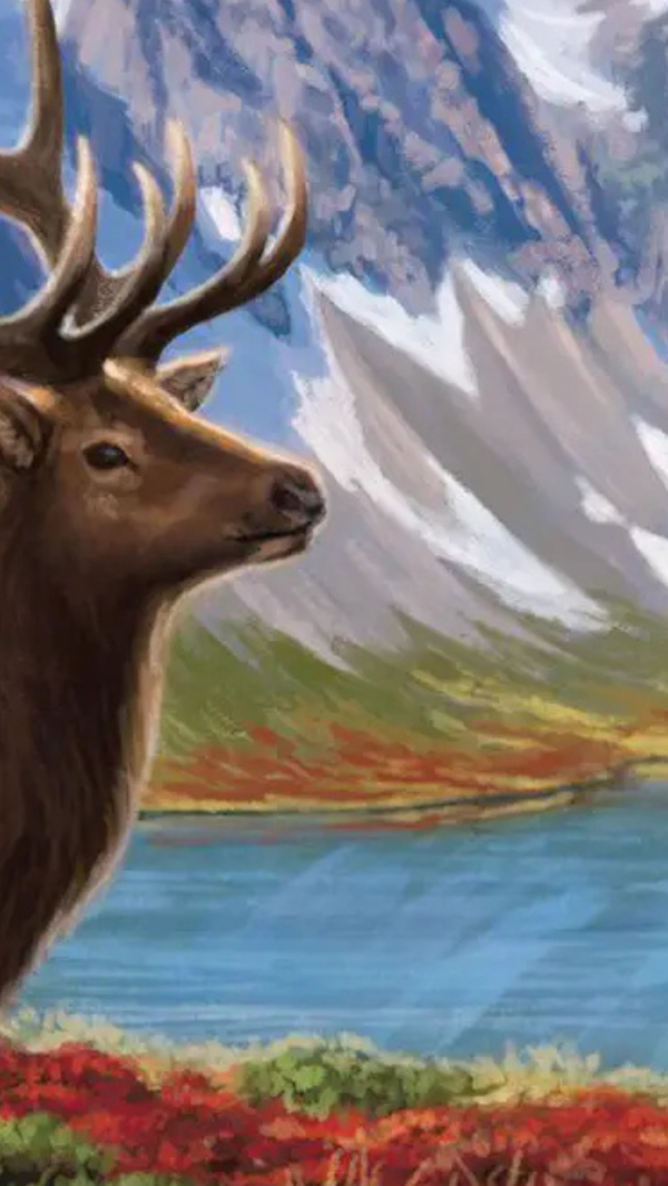 Cascadia Board Game artwork from Alderac Entertainment Group